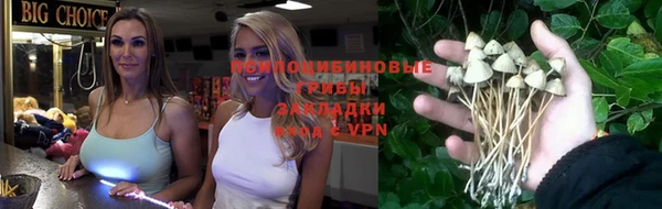 меф Пересвет