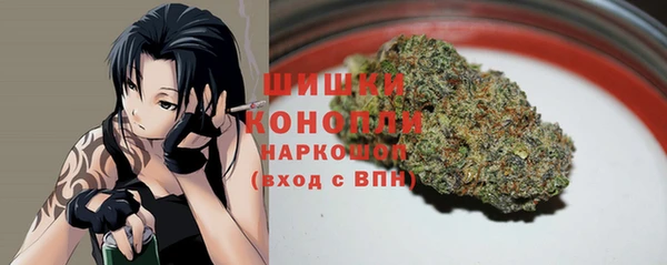 дживик Осташков