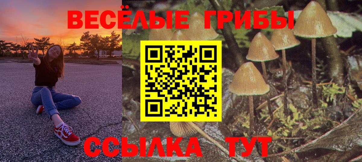 Псилоцибиновые грибы ЛСД Рассказово